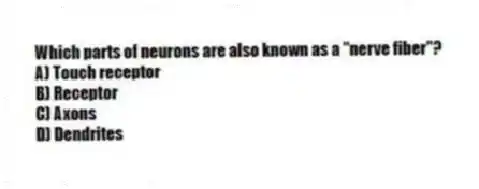Which parts of neurons are also known as a "nerve fiber"?
A) Touch receptor
B) Receptor
C) Axons
D) Dendrites