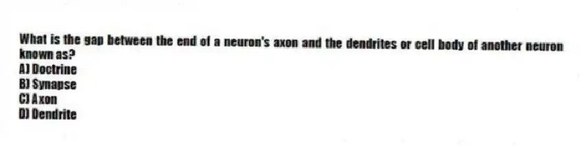 What is the gap between the end of a neuron's axon and the dendrites or cell body of another neuron known as?
A) Doctrine
B) Synapse
C) Axon
D) Dendrite