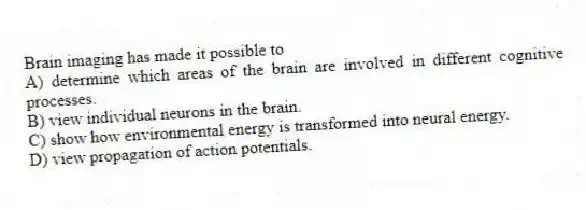 Brain imaging has made it possible to
A) determine which areas of the brain are involved in different cognitive processes.
B) view individual neurons in the brain.
C) show how environmental energy is transformed into neural energy.
D) view propagation of action potentials.