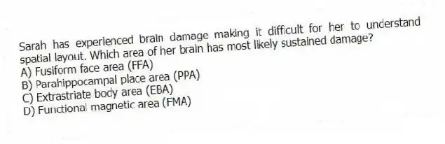 Sarah has experienced brain damage making it difficult for her to understand spatial layout. Which area of her brain has most likely sustained damage?
A) Fusiform face area (FFA)
B) Parahippocampal place area (PPA)
C) Extrastriate body area (EBA)
D) Functional magnetic area (FMA)