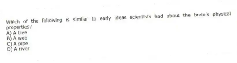 Which of the following is similar to early ideas scientists had about the brain's physical properties?
A) A tree
B) A web
C) A pipe
D) A river