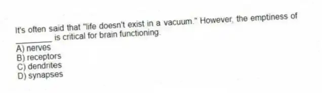 It's often said that "life doesn't exist in a vacuum." However, the emptiness of ________ is critical for brain functioning.
A) nerves
B) receptors
C) dendrites
D) synapses