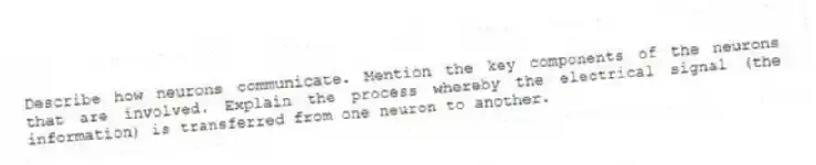 Describe how neurons communicate. Mention the key components of the neurons that are involved. Explain the process whereby the electrical signal (the information) is transferred from one neuron to another.