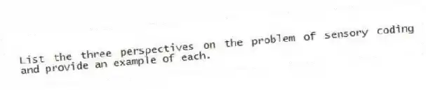 List the three perspectives on the problem of sensory coding and provide an example of each.
