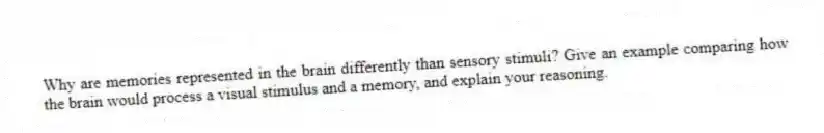 Why are memories represented in the brain differently than sensory stimuli? Give an example comparing how the brain would process a visual stimulus and a memory, and explain your reasoning.