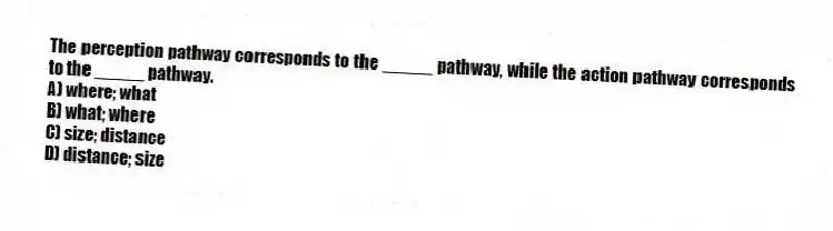 The perception pathway corresponds to the _____ pathway, while the action pathway corresponds to the _____ pathway.
A) where; what
B) what; where
C) size; distance
D) distance; size