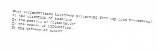 What differentiates bottom-up processing from top-down processing?
A) the direction of scanning
B) the pattern of organization
C) the source of information
D) the pathway of action