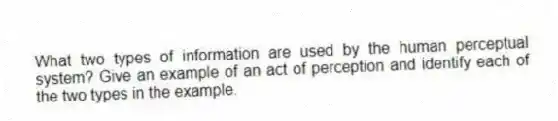 What two types of information are used by the human perceptual system? Give an example of an act of perception and identify each of the two types in the example.