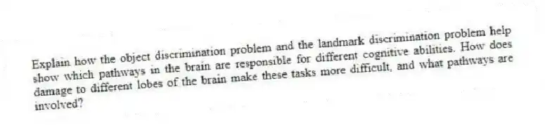 Explain how the object discrimination problem and the landmark discrimination problem help show which pathways in the brain are responsible for different cognitive abilities. How does damage to different lobes of the brain make these tasks more difficult, and what pathways are involved?
