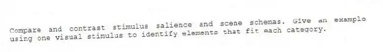 Compare and contrast stimulus salience and scene schemas. Give an example using one visual stimulus to identify elements that fit each category.