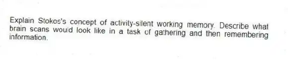 Explain Stokes's concept of activity-silent working memory. Describe what brain scans would look like in a task of gathering and then remembering information.