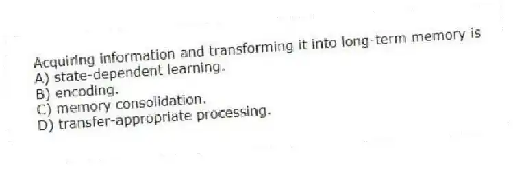 Acquiring information and transforming it into long-term memory is
A) state-dependent learning.
B) encoding.
C) memory consolidation.
D) transfer-appropriate processing.