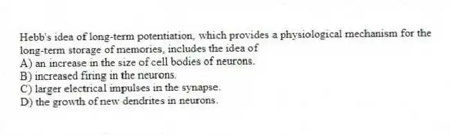 Hebb's idea of long-term potentiation, which provides a physiological mechanism for the long-term storage of memories, includes the idea of
A) an increase in the size of cell bodies of neurons.
B) increased firing in the neurons.
C) larger electrical impulses in the synapse.
D) the growth of new dendrites in neurons.