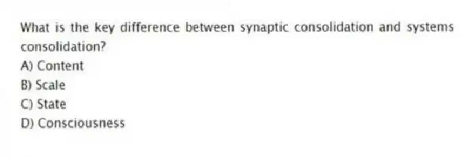 What is the key difference between synaptic consolidation and systems consolidation?
A) Content
B) Scale
C) State
D) Consciousness