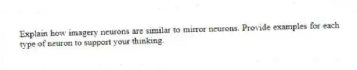 Explain how imagery neurons are similar to mirror neurons. Provide examples for each type of neuron to support your thinking.