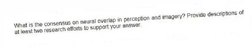 What is the consensus on neural overlap in perception and imagery? Provide descriptions of at least two research efforts to support your answer.