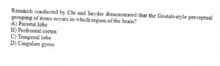 Research conducted by Chi and Snyder demonstrated that the Gestalt-style perceptual grouping of items occurs in which region of the brain?
A) Parietal lobe
B) Prefrontal cortex
C) Temporal lobe
D) Cingulate gyrus