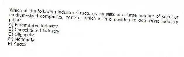 Which of the following industry structures consists of a large number of small or medium-sized companies, none of which is in a position to determine industry price?
A) Fragmented industry
B) Consolidated industry
C) Oligopoly
D) Monopoly
E) Sector