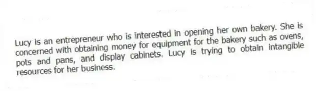 Lucy is an entrepreneur who is interested in opening her own bakery. She is concerned with obtaining money for equipment for the bakery such as ovens, pots and pans, and display cabinets. Lucy is trying to obtain intangible resources for her business.