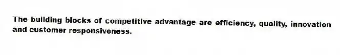 The building blocks of competitive advantage are efficiency, quality, innovation and customer responsiveness.  