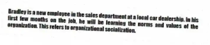 Bradley is a new employee in the sales department at a local car dealership. In his first few months on the job, he will be learning the norms and values of the organization. This refers to organizational socialization.