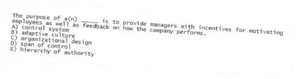 The purpose of a(n) _____ is to provide managers with incentives for motivating employees as well as feedback on how the company performs.
A) control system
B) adaptive culture
C) organizational design
D) span of control
E) hierarchy of authority
