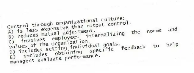 Control through organizational culture:
A) is less expensive than output control.
B) reduces mutual adjustment.
C) involves employees internalizing the norms and values of the organization.
D) includes setting individual goals.
E) includes obtaining specific feedback to help managers evaluate performance.