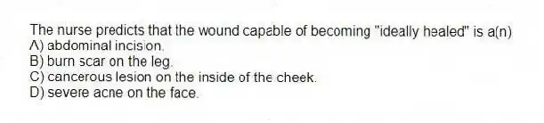 The nurse predicts that the wound capable of becoming "ideally healed" is a(n)
A) abdominal incision.
B) burn scar on the leg.
C) cancerous lesion on the inside of the cheek.
D) severe acne on the face.