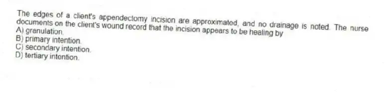 The edges of a client's appendectomy incision are approximated, and no drainage is noted. The nurse documents on the client's wound record that the incision appears to be healing by
A) granulation.
B) primary intention.
C) secondary intention.
D) tertiary intention.