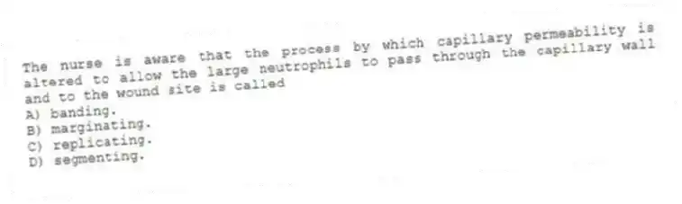 The nurse is aware that the process by which capillary permeability is altered to allow the large neutrophils to pass through the capillary wall and to the wound site is called
A) banding.
B) marginating.
C) replicating.
D) segmenting.