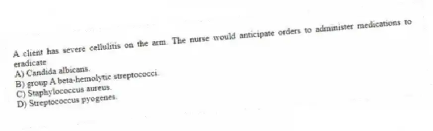 A client has severe cellulitis on the arm. The nurse would anticipate orders to administer medications to eradicate
A) Candida albicans.
B) group A beta-hemolytic streptococci.
C) Staphylococcus aureus.
D) Streptococcus pyogenes.
