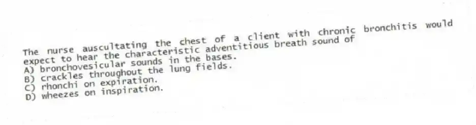 The nurse auscultating the chest of a client with chronic bronchitis would expect to hear the characteristic adventitious breath sound of
A) bronchovesicular sounds in the bases.
B) crackles throughout the lung fields.
C) rhonchi on expiration.
D) wheezes on inspiration.