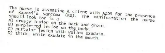 The nurse is assessing a client with AIDS for the presence of Kaposi's sarcoma (KS). The manifestation the nurse should look for is a
A) crusty lesion on the back and groin.
B) purple-red lesion on the body.
C) pustular lesion with yellow exudate.
D) thick, white exudate in the mouth.