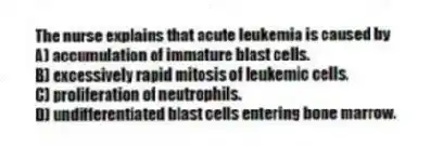The nurse explains that acute leukemia is caused by
A) accumulation of immature blast cells.
B) excessively rapid mitosis of leukemic cells.
C) proliferation of neutrophils.
D) undifferentiated blast cells entering bone marrow.