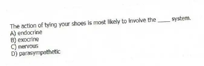 The action of tying your shoes is most likely to involve the ____ system.
A) endocrine
B) exocrine
C) nervous
D) parasympathetic