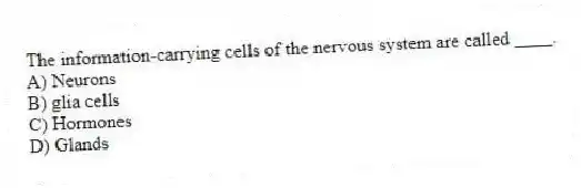 The information-carrying cells of the nervous system are called ____.
A) Neurons
B) glia cells
C) Hormones
D) Glands