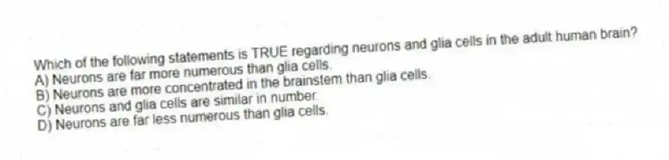 Which of the following statements is TRUE regarding neurons and glia cells in the adult human brain?
A) Neurons are far more numerous than glia cells.
B) Neurons are more concentrated in the brainstem than glia cells.
C) Neurons and glia cells are similar in number.
D) Neurons are far less numerous than glia cells.