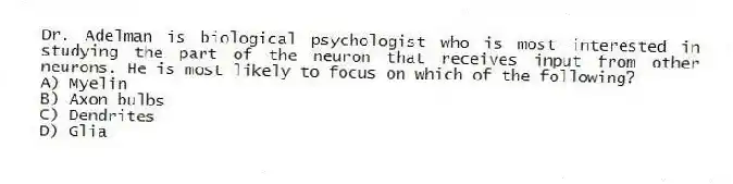 Dr. Adelman is biological psychologist who is most interested in studying the part of the neuron that receives input from other neurons. He is most likely to focus on which of the following?
A) Myelin
B) Axon bulbs
C) Dendrites
D) Glia