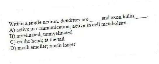 Within a single neuron, dendrites are ____ and axon bulbs ____.
A) active in communication; active in cell metabolism
B) myelinated; unmyelinated
C) on the head; at the tail
D) much smaller; much larger