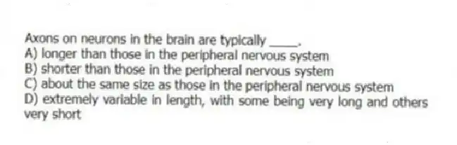 Axons on neurons in the brain are typically ____.
A) longer than those in the peripheral nervous system
B) shorter than those in the peripheral nervous system
C) about the same size as those in the peripheral nervous system
D) extremely variable in length, with some being very long and others very short
