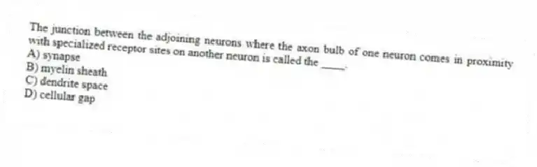 The junction between the adjoining neurons where the axon bulb of one neuron comes in proximity with specialized receptor sites on another neuron is called the ____.
A) synapse
B) myelin sheath
C) dendrite space
D) cellular gap