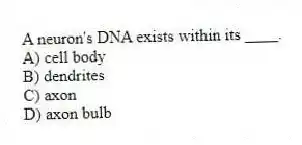A neuron's DNA exists within its ____.
A) cell body
B) dendrites
C) axon
D) axon bulb