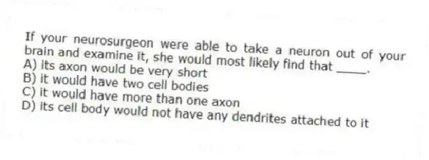 If your neurosurgeon were able to take a neuron out of your brain and examine it, she would most likely find that ____.
A) its axon would be very short
B) it would have two cell bodies
C) it would have more than one axon
D) its cell body would not have any dendrites attached to it