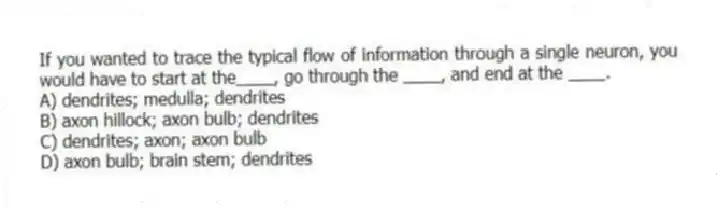 If you wanted to trace the typical flow of information through a single neuron, you would have to start at the____, go through the ____, and end at the ____.
A) dendrites; medulla; dendrites
B) axon hillock; axon bulb; dendrites
C) dendrites; axon; axon bulb
D) axon bulb; brain stem; dendrites