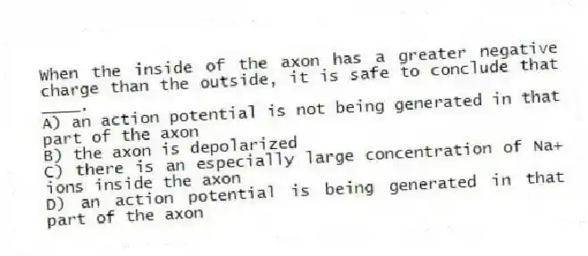 When the inside of the axon has a greater negative charge than the outside, it is safe to conclude that ____.
A) an action potential is not being generated in that part of the axon
B) the axon is depolarized
C) there is an especially large concentration of Na+ ions inside the axon
D) an action potential is being generated in that part of the axon