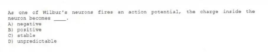 As one of Wilbur's neurons fires an action potential, the charge inside the neuron becomes ____.
A) negative
B) positive
C) stable
D) unpredictable