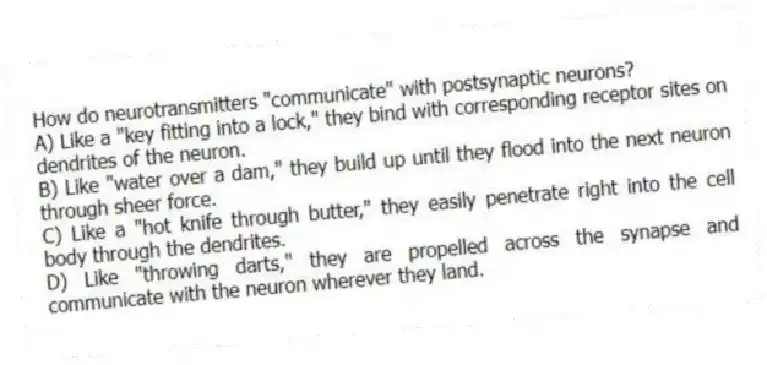How do neurotransmitters "communicate" with postsynaptic neurons?
A) Like a "key fitting into a lock," they bind with corresponding receptor sites on dendrites of the neuron.
B) Like "water over a dam," they build up until they flood into the next neuron through sheer force.
C) Like a "hot knife through butter," they easily penetrate right into the cell body through the dendrites.
D) Like "throwing darts," they are propelled across the synapse and communicate with the neuron wherever they land.