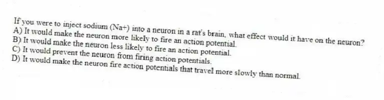 If you were to inject sodium (Na+) into a neuron in a rat's brain, what effect would it have on the neuron?
A) It would make the neuron more likely to fire an action potential.
B) It would make the neuron less likely to fire an action potential.
C) It would prevent the neuron from firing action potentials.
D) It would make the neuron fire action potentials that travel more slowly than normal.