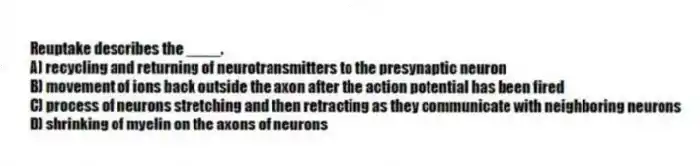 Reuptake describes the ____.
A) recycling and returning of neurotransmitters to the presynaptic neuron
B) movement of ions back outside the axon after the action potential has been fired
C) process of neurons stretching and then retracting as they communicate with neighboring neurons
D) shrinking of myelin on the axons of neurons