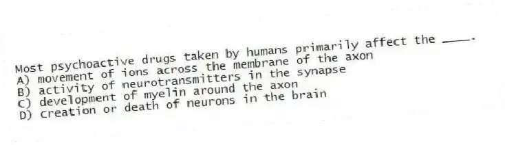 Most psychoactive drugs taken by humans primarily affect the ____.
A) movement of ions across the membrane of the axon
B) activity of neurotransmitters in the synapse
C) development of myelin around the axon
D) creation or death of neurons in the brain